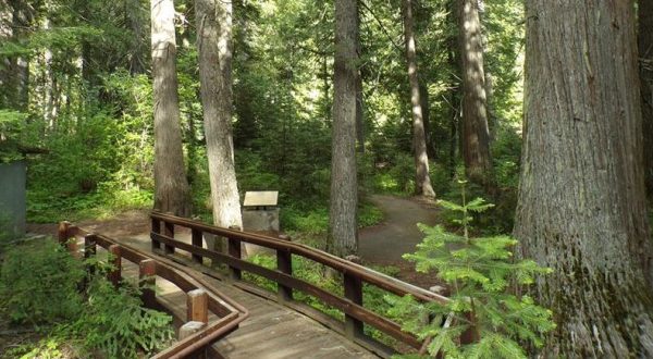 7 Boardwalks In Idaho That Will Make Your Summer Complete