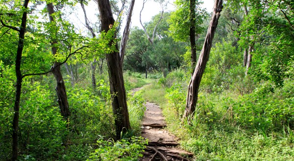 10 Magnificent Trails You Have To Hike In Austin Before You Die