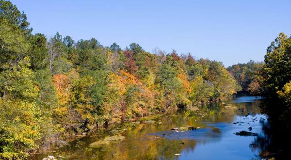 This Alabama River Is So Much More Than Just A Body Of Water