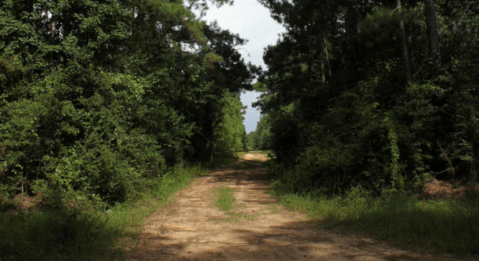 These 8 Haunted Hikes In Texas Will Send You Running For The Hills