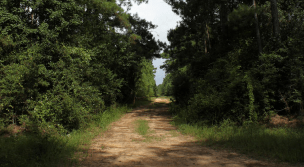 These 8 Haunted Hikes In Texas Will Send You Running For The Hills