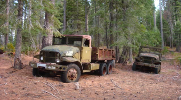 There’s A Secret Boneyard In The Woods Where Former U.S. Military Vehicles Go To Die