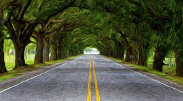Louisiana’s Hidden Tunnel Of Trees Is Positively Magical And You Need To Visit