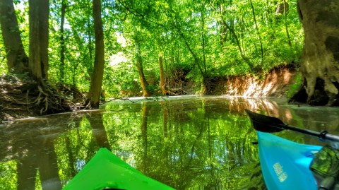 A Relaxing Float Down Uwharrie River Is The Perfect Way To Spend A Summer Day In North Carolina