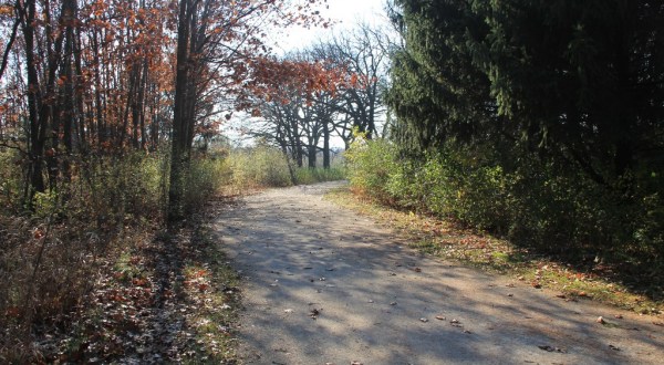 This Serene Illinois Trail System Is The Ultimate Urban Escape