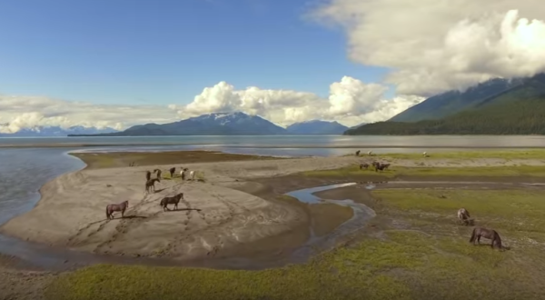 We Dare You Not To Fall In Love With Juneau, Alaska After Watching This Incredible Video
