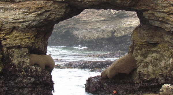 This Hidden Beach In Northern California Will Take You A Million Miles Away From It All