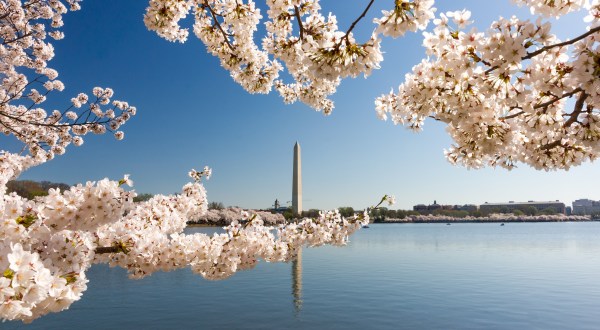 15 Absolutely Amazing Places To Visit In Washington DC