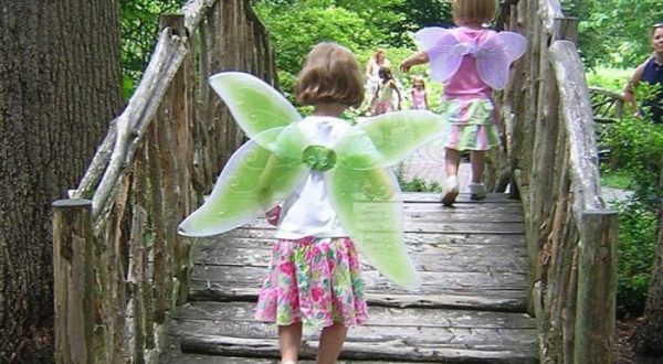 Most People Don’t Know Delaware Has A Fairy Trail… And It’s Positively Magical