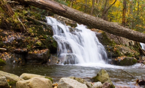 This Hike Will Lead You To One Of The Most Enchanting Spots In New Jersey