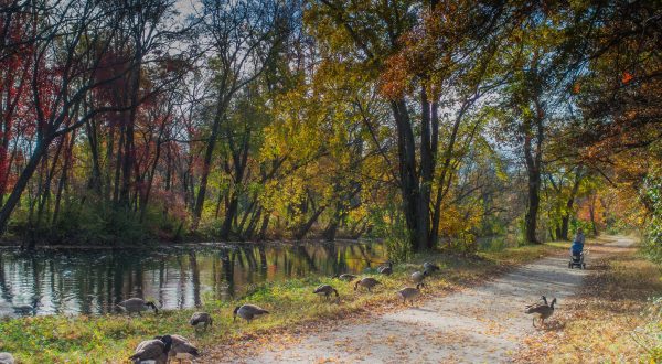10 Magnificent Trails You Have To Hike In New Jersey Before You Die