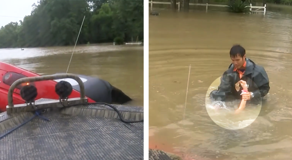 Moments Before Drowning In Louisiana Flood Waters, A Woman And Her Dog Were Miraculously Saved