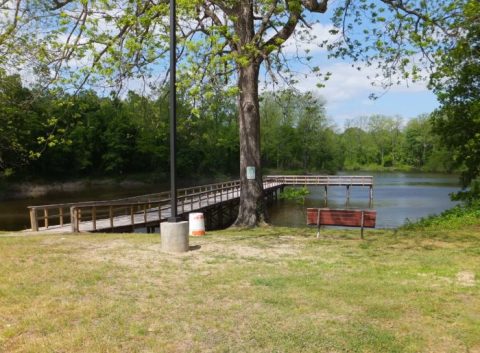 Most People Have No Idea Mississippi Has A Lost State Park…And It’s Stunning