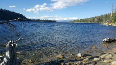 This Swimming Spot Has The Clearest, Most Pristine Water In Northern California