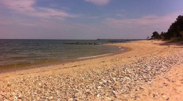 10 Spectacular Beach Campgrounds In Maryland
