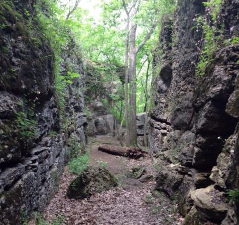 This Hike Will Lead You To One Of The Most Enchanting Spots In Kansas