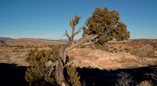 This Little Known Wilderness Area In New Mexico Is The Perfect Place To Get Away From It All