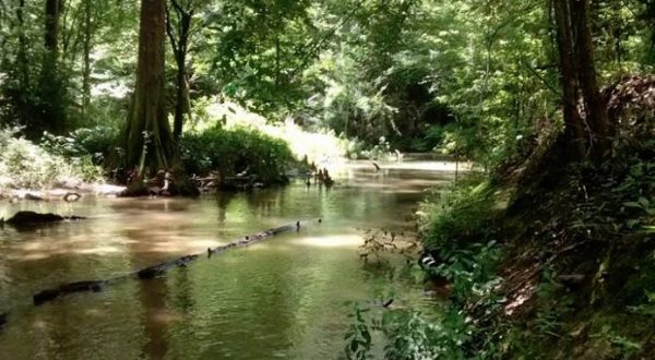 This Little Known Creek In Louisiana Is The Perfect Place To Get Away From It All