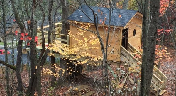 We Dare You Not To Love An Overnight In This Treehouse In West Virginia
