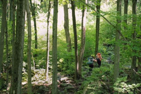 This Hike Is Perfect For An Appalachian Adventure Weekend In Massachusetts