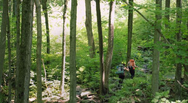 This Hike Is Perfect For An Appalachian Adventure Weekend In Massachusetts