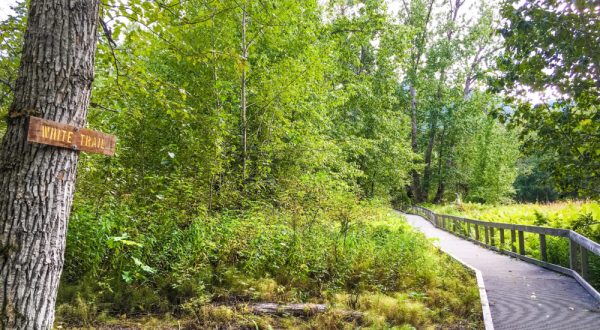 This Riverside Walk In Alaska Is Picture Perfect For A Late Summer’s Day