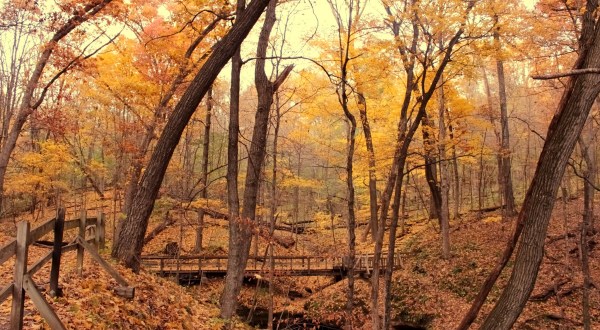 16 Marvelous Trails You Have To Hike In Iowa Before You Die