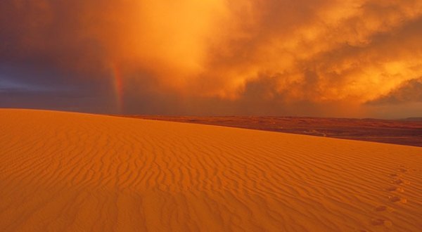 Wyoming Is Home To The Largest Living Dune System In America And It’s Incredible