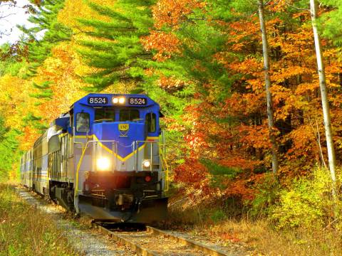 Take This Fall Foliage Train Ride Through Oregon For A One-Of-A-Kind Experience