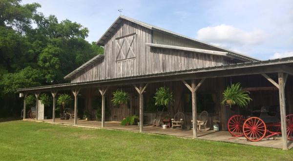 You’ll Love These 9 Charming Farms Nestled In The Middle Of Nowhere In Alabama