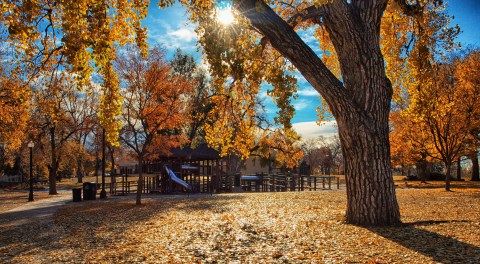 You'll Never Run Out Of Things To Do In This Charming Neighborhood In Denver