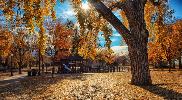 You’ll Never Run Out Of Things To Do In This Charming Neighborhood In Denver