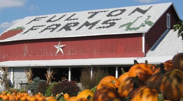 These 12 Charming Pumpkin Patches In Ohio Are Picture Perfect For A Fall Day