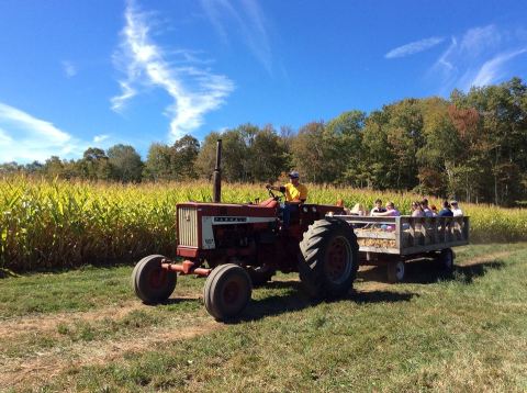 10 Unforgettable Hay Rides In Rhode Island To Take This Fall