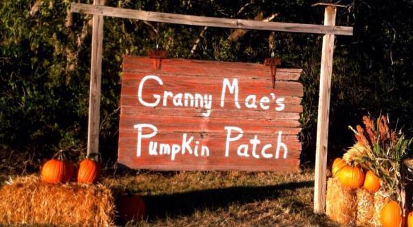 These 12 Charming Pumpkin Patches In Kansas Are Picture Perfect For A Fall Day