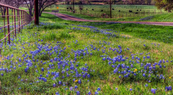 One of the Most Scenic Drives In America Is Right Here In Texas