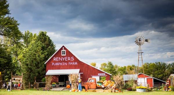 You’ll Love These 11 Charming Farms Nestled In The Middle Of Nowhere In Kansas
