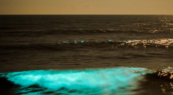 North Carolina’s Glowing Waves Are A Strange Phenomenon That Will Take Your Breath Away