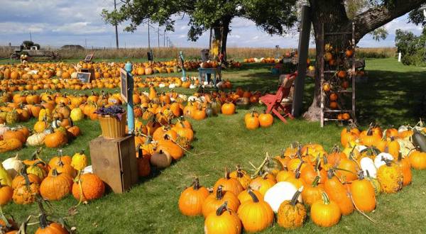 These 8 Charming Pumpkin Patches In South Dakota Are Picture Perfect For A Fall Day