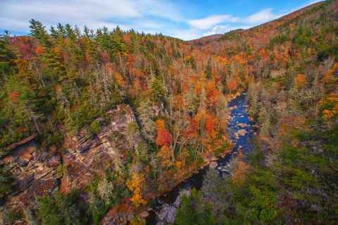The Best Times And Places To View Fall Foliage In North Carolina