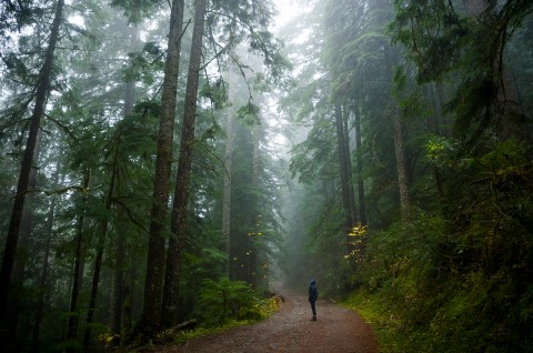 You'll Never Forget This Enchanting Hike Along Oregon's Turquoise River