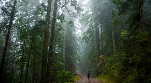 You’ll Never Forget This Enchanting Hike Along Oregon’s Turquoise River
