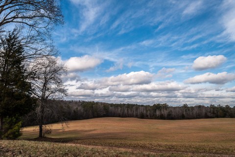 The Story Behind This Haunted Battlefield In Tennessee Is Truly Creepy