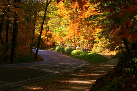 12 Country Roads In Ohio That Are Pure Bliss In The Fall