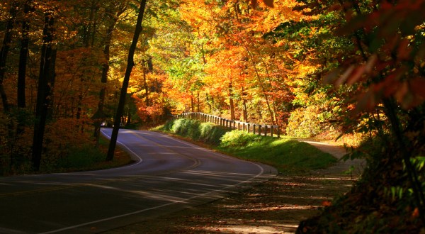 12 Country Roads In Ohio That Are Pure Bliss In The Fall