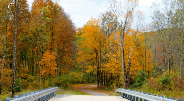 Take These 6 Country Roads Near Pittsburgh For A Gorgeous Scenic Drive