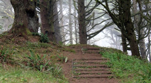 This Easy, Enchanting Hike In Oregon Will Lead You To A Hidden Beach