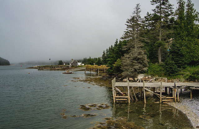 Maine banner image