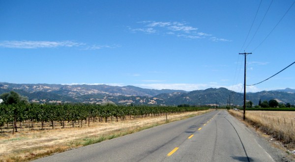 Take These 7 Country Roads Near San Francisco For A Gorgeous Scenic Drive