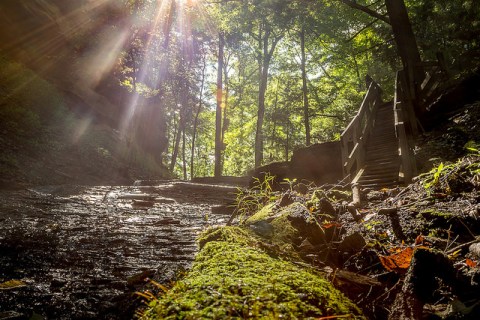 This Just Might Be The Most Beautiful Hike In All Of Indiana